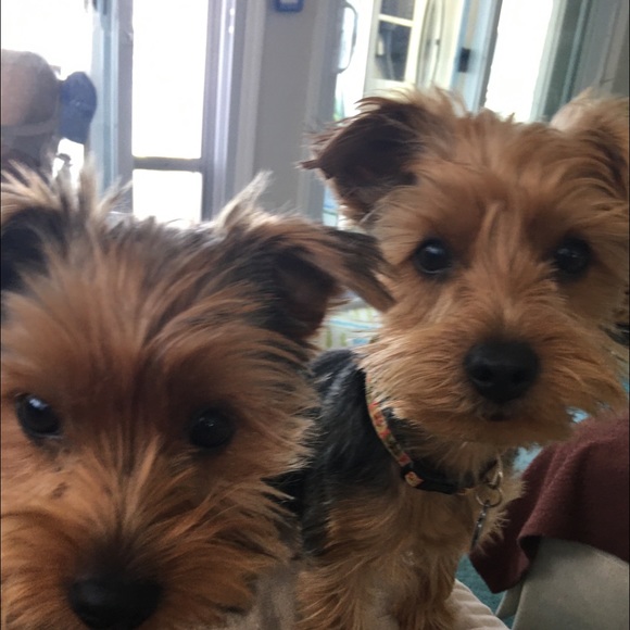 Meet your Posher, Jami - Picture 1 of 1